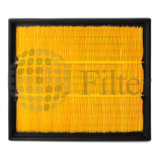 AF25319 Filtro de aire Fleetguard