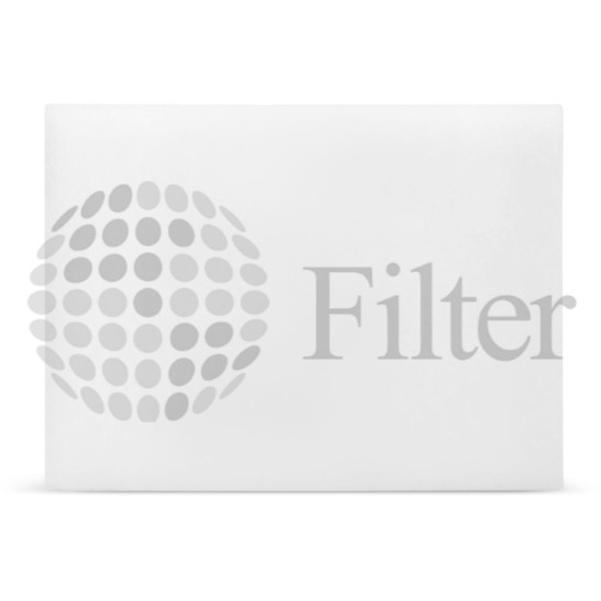 AF55700 Filtro de aire Fleetguard