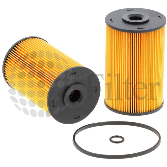 SN25041 Fuel Filter Hifi